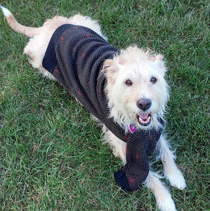 Meet your Posher, Nicholas